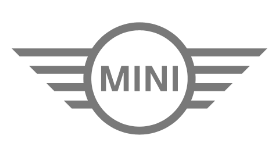 Mini logo gris