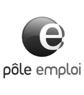 Pole Emploi logo gris