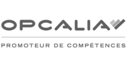 Opcalia logo gris