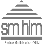 SMHLM logo gris